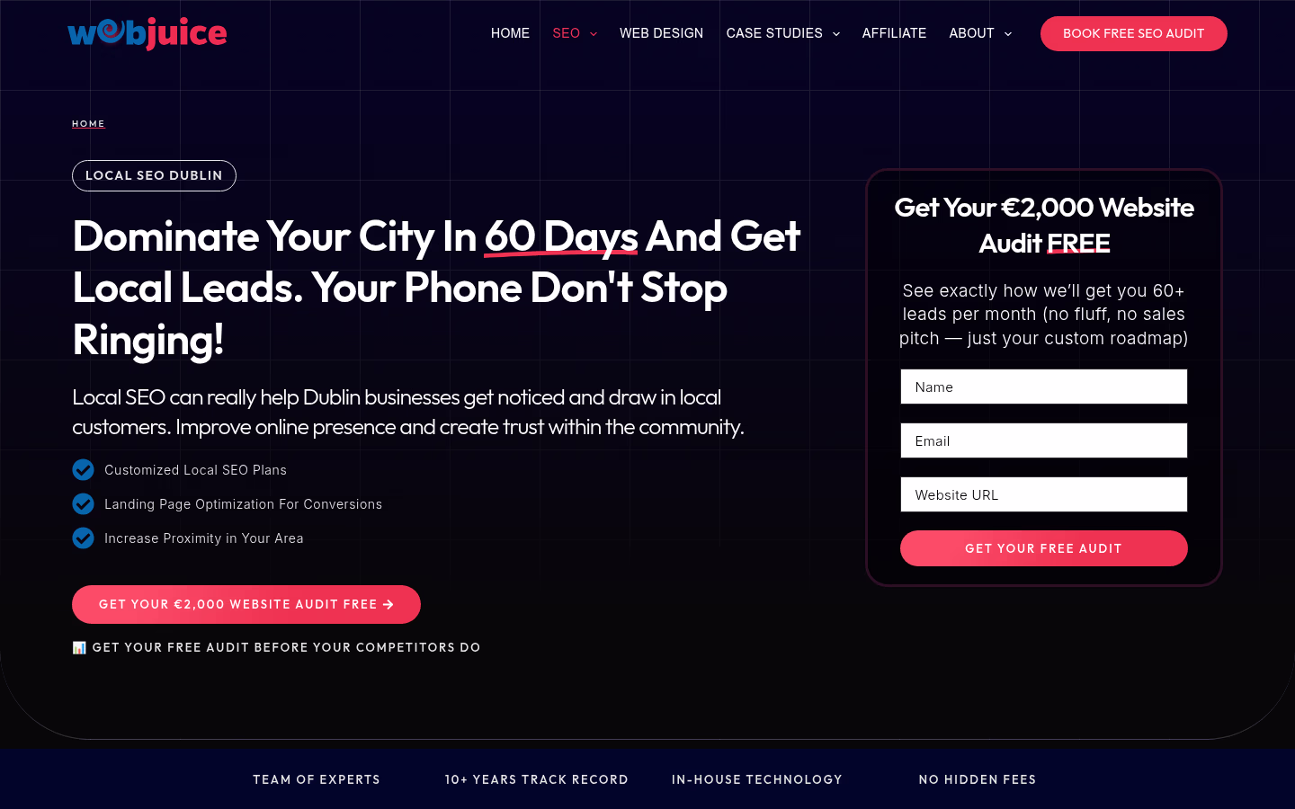 Webjuice — Local SEO Dublin landing page