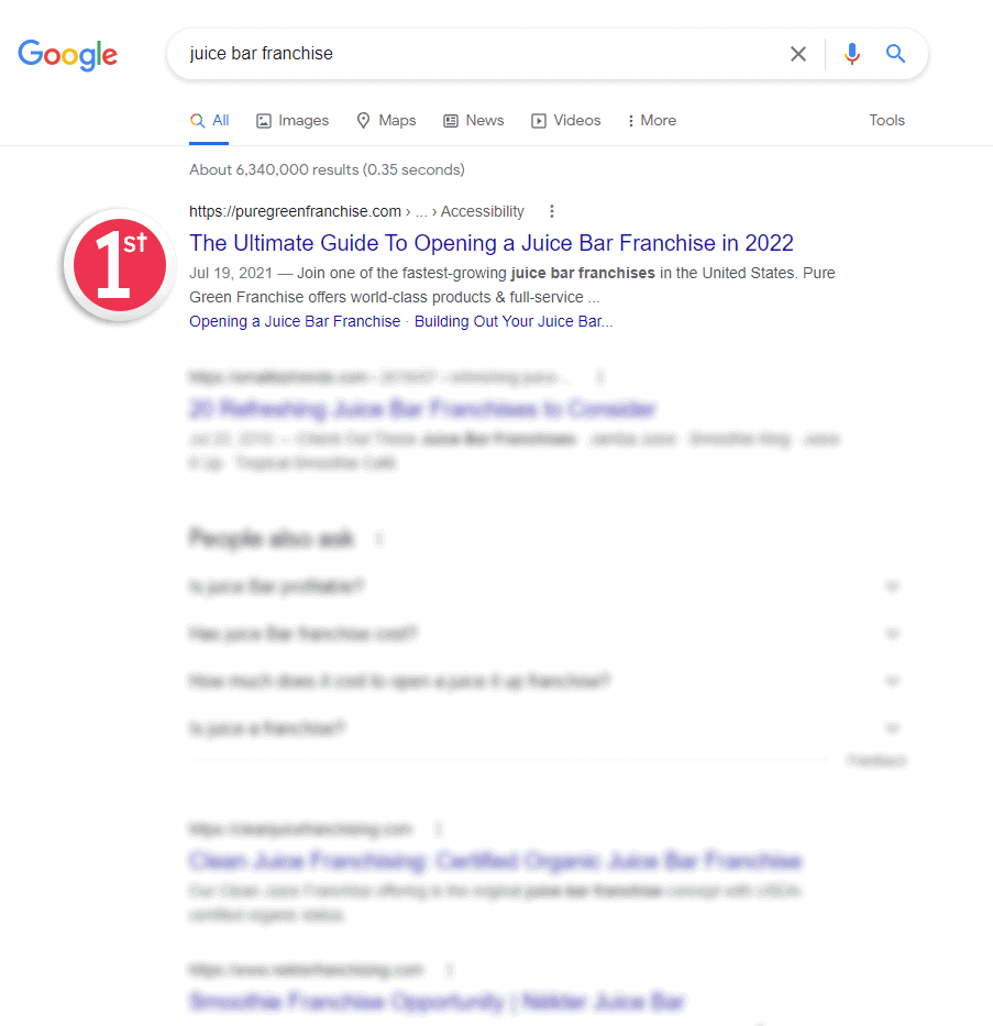 results on SERP with SEO organic traffic